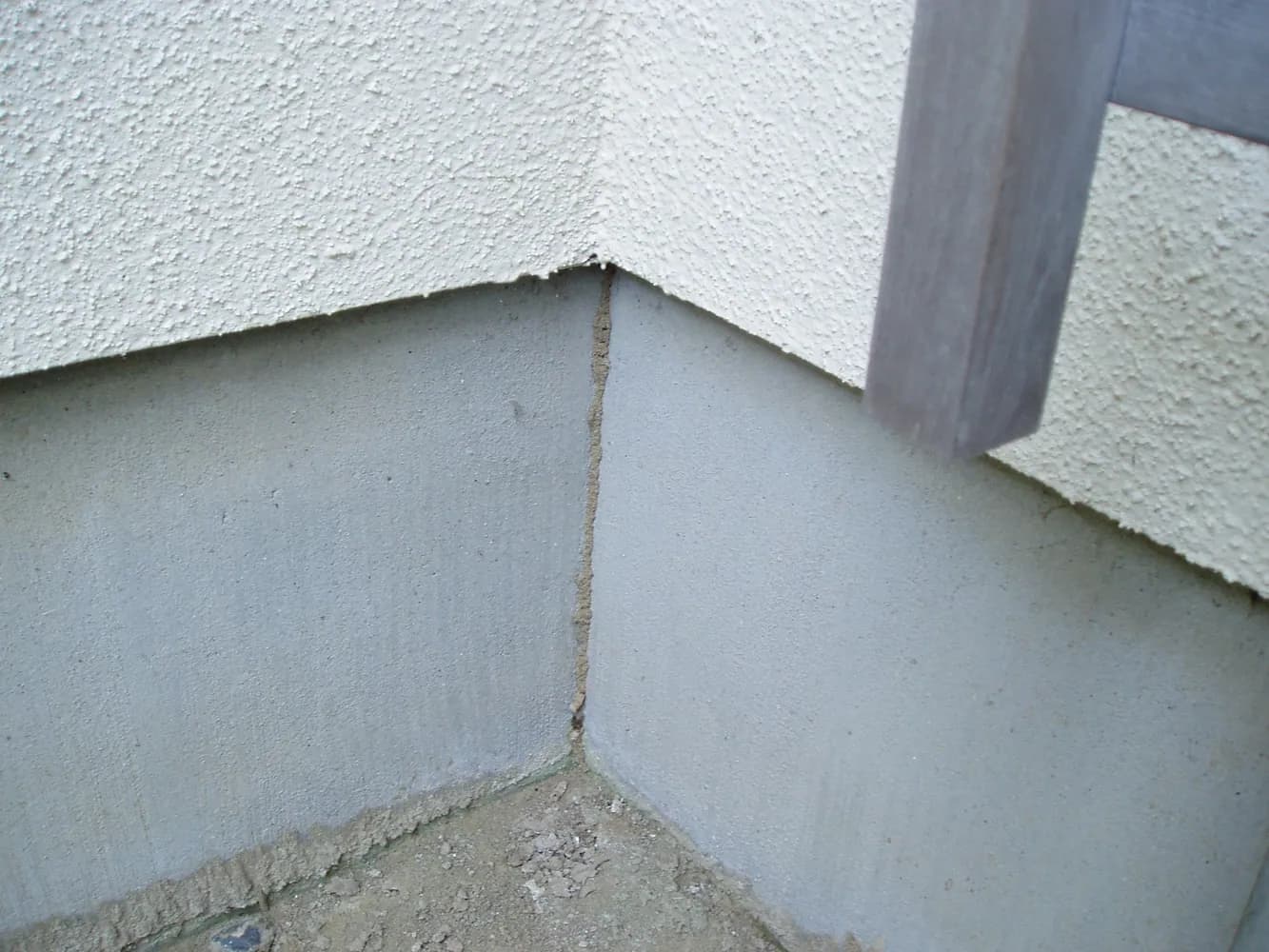 蟻道(ぎどう)の発見