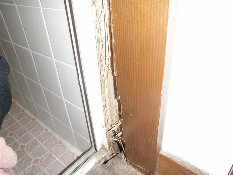 浴室・水回りの被害