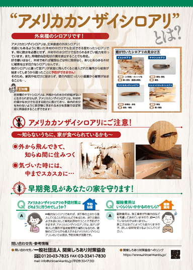 パンフレット